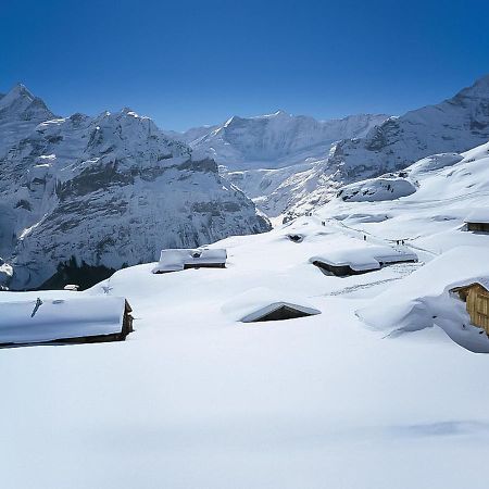 Holiday Home Chalet Ahornen By Interhome Grindelwald Dış mekan fotoğraf