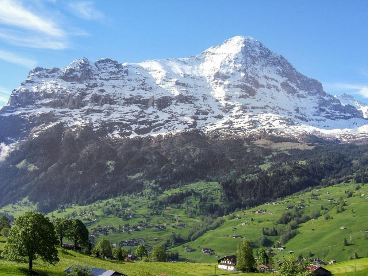 Holiday Home Chalet Ahornen By Interhome Grindelwald Dış mekan fotoğraf