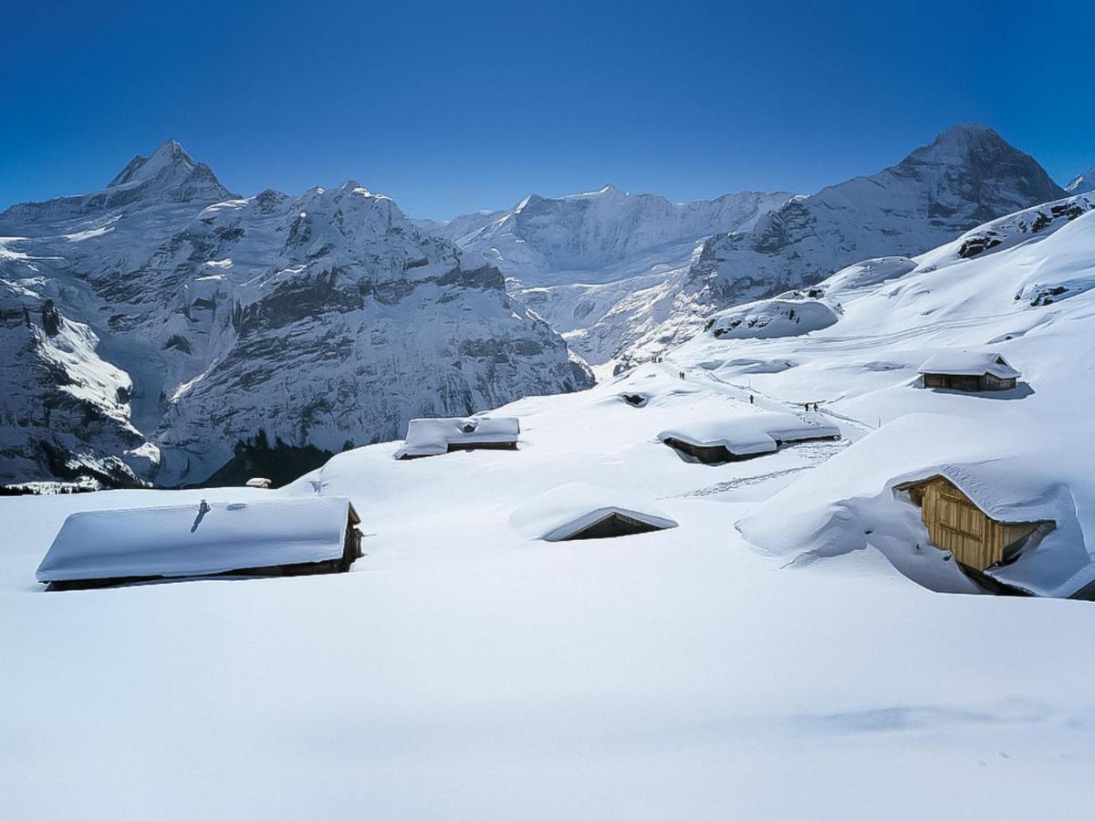 Holiday Home Chalet Ahornen By Interhome Grindelwald Dış mekan fotoğraf