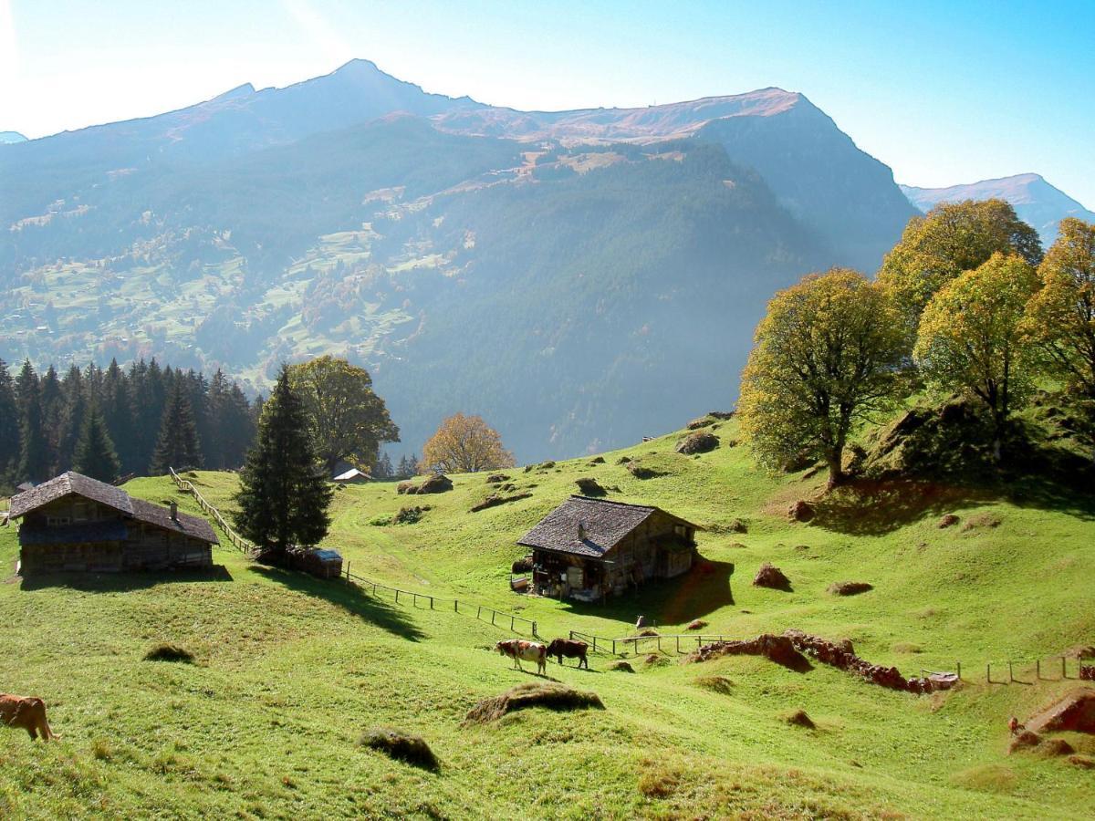 Holiday Home Chalet Ahornen By Interhome Grindelwald Dış mekan fotoğraf